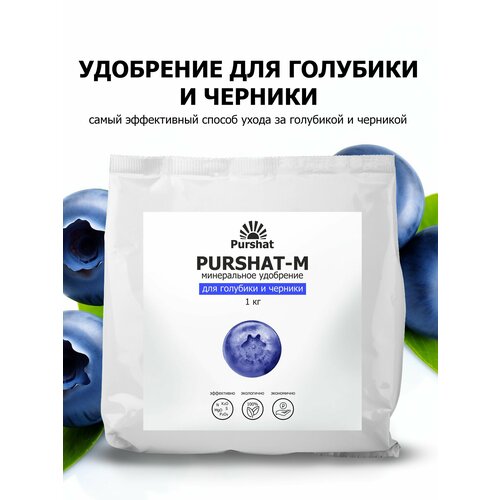 ������ ������ ��������� ��� �������� � ������� ������ (Purshat) 1 �� ����