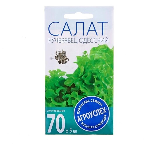 ������ ������ ������ ����� ��������� ��������, ������������, �������, 0,5� ����