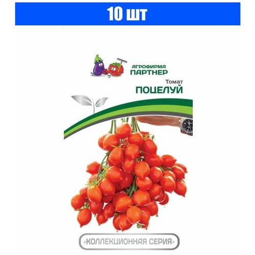 ������ ������ ������ ������ 