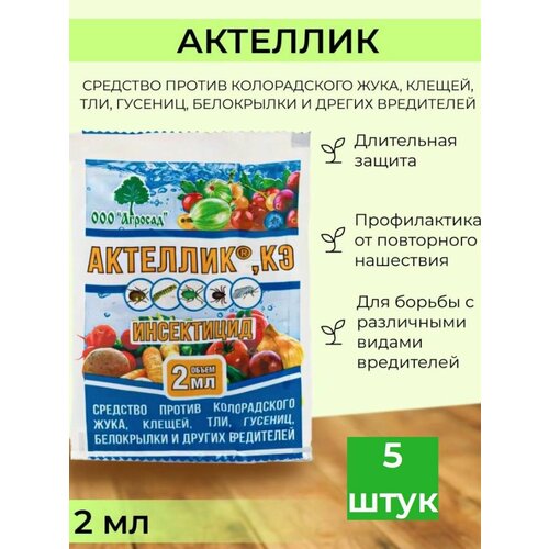 ������ ������ �������� ������ �������� �������� ����