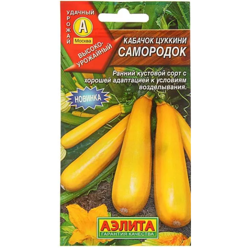 ������ ������ ������ ������� ��������� ������� 1� ������ ������ (������) ����