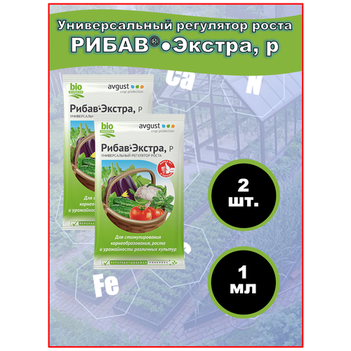 ������ ������ ��������� ��������� ����� � ����������������� �����-������ 1 ��, 2 �� ����