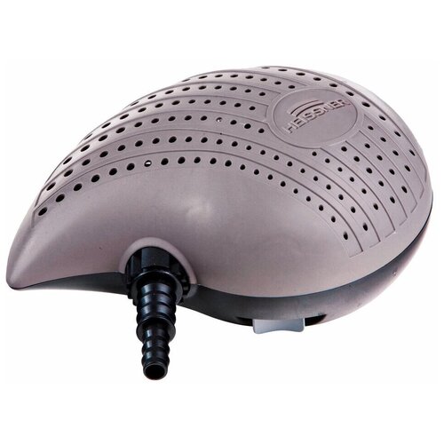 ������ ������ ����� ��� ����� 