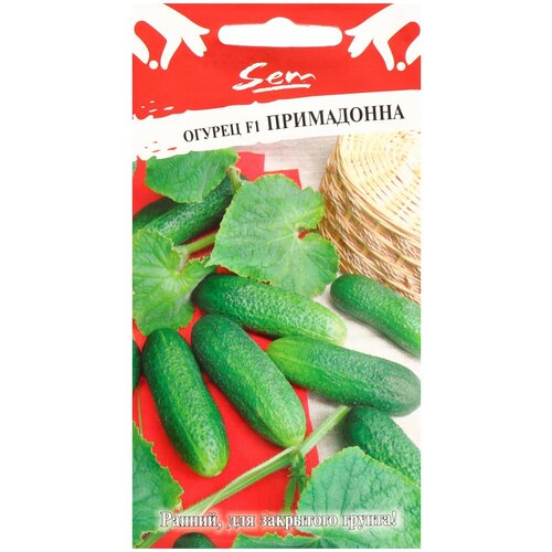 ������ ������ ������ ������� ������ ������ ���������� F1 10 �� ����