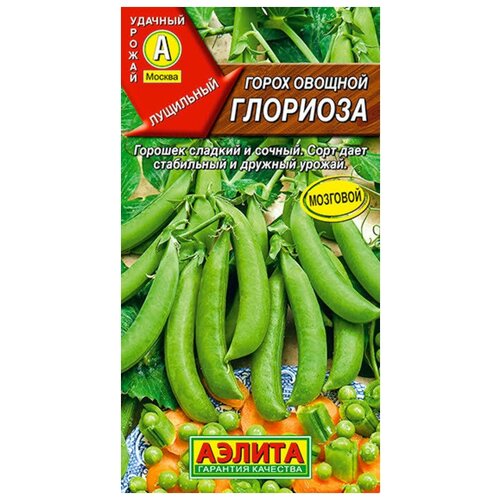 ������ ������ ������. ����� ������� ��������� 