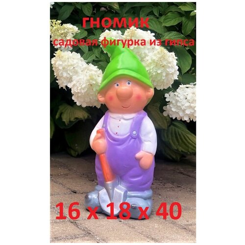 ������ ������ ������� ������� ����