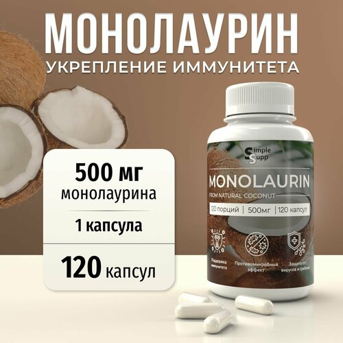 ������ ������ ���������� 500 ��, 120 ������ ����