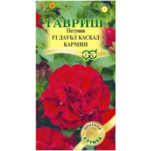 ������ ������ ������� ����� ������ ������ 5 ��. ����