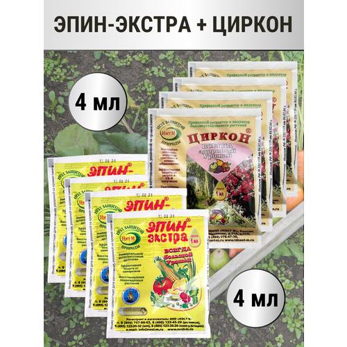 ������ ������ ����-������ 1 �� + ������ � ������������� 1 ��, �������� 4+4 ����