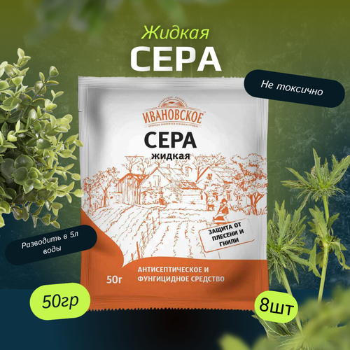 ������ ������ ���� ������ 50�� / 8��. ���������� ��������� ����������. ����