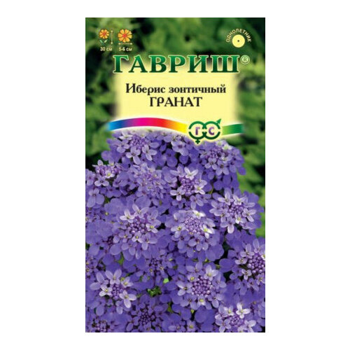 ������ ������ ������ ������ ������ ��������� 0,1� ��� 30�� (������) ����