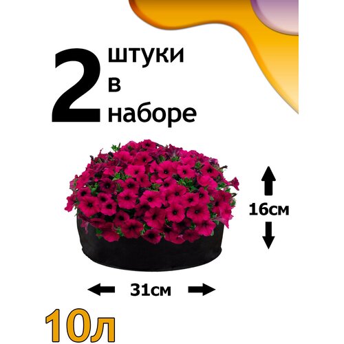 ������ ������ ������ ���� 10� - 2�� ����