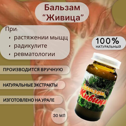 ������ ������ ������� 