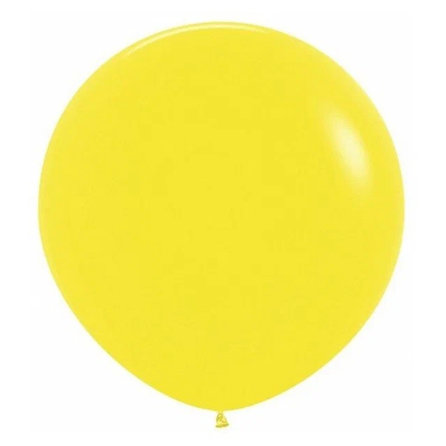 ������ ������ ����� ��������� XXL ��������, ������ 100 �� ����