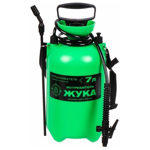 ������ ������ ������������� ������� ����������� ���� 7� ����