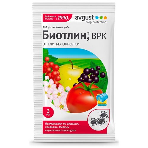 ������ ������ �������� 