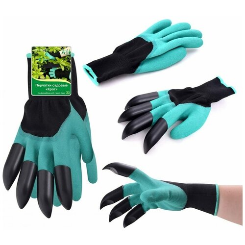 ������ ������ �������� ������� 