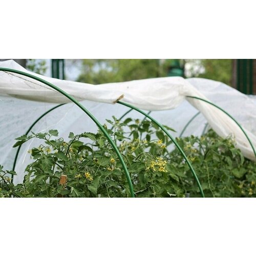 ������ ������ ������ ������� ������� 5� ���� 3� ����