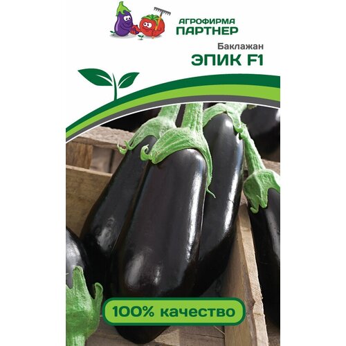 ������ ������ ������ ��������� 