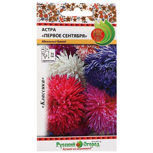 ������ ������ ����� 