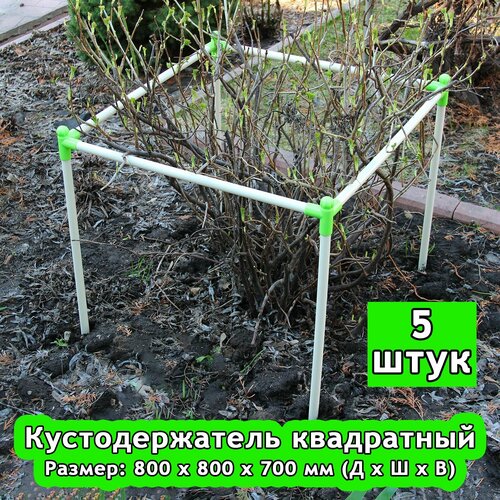 ������ ������ �������������� 