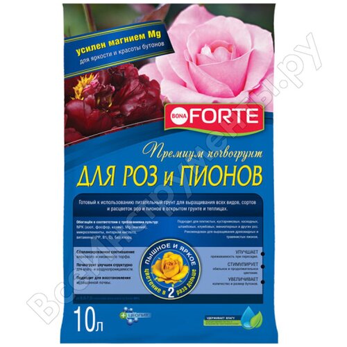 ������ ������ ����� ��� ��� � ������ 10�, Bona Forte ����