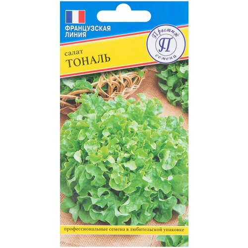 ������ ������ ������ ����� 