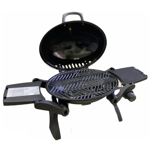 ������ ������ ���������� ������� ����� Mustang Caravan ����