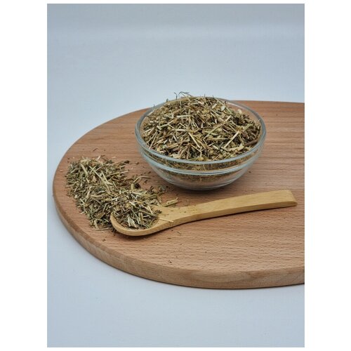 ������ ������ ������������� ����� 1�� ����