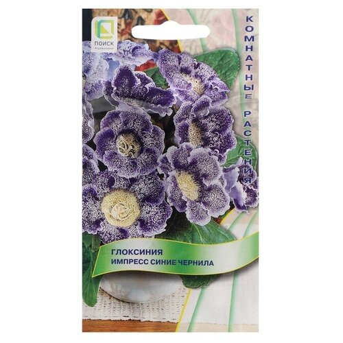 ������ ������ ������ ��������� ������� ����� ������� (5 ��.) ����