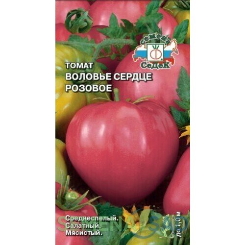 ������ ������ ������ ����� ������� ������ ������� 0.1� ��� (�����) ����