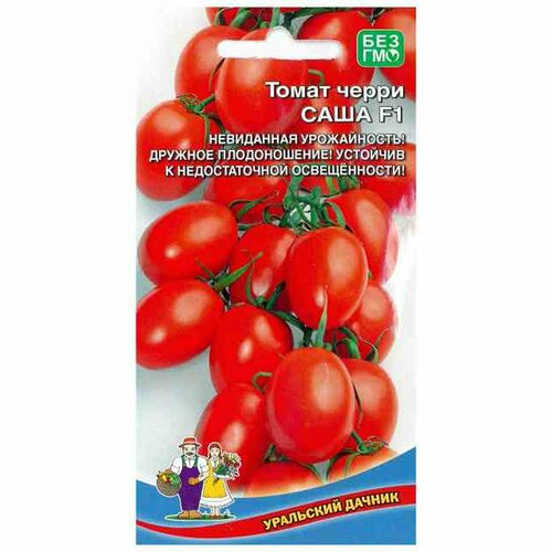 ������ ������ ������ ����� ���� F1 ����� (��������� ������) 12�� ����