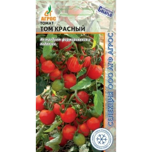 ������ ������ ������ ����� ��� ������� ����� 10�� ��� ������ (�����) ����