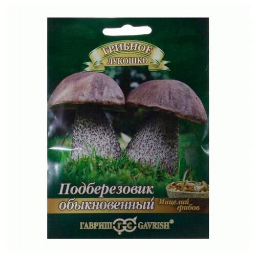 ������ ������ ������� ������ ������ ������� ������� ������������ �� �������� ��������� 15 �� ����