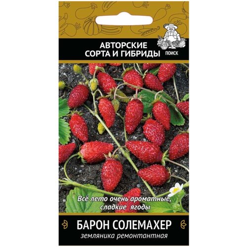 ������ ������ ������ ��������� ������������ 