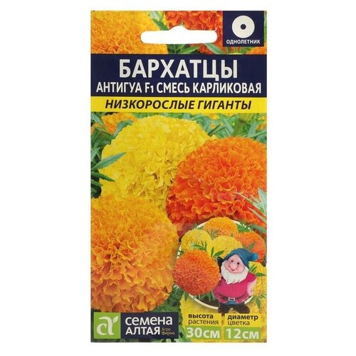 ������ ������ ������ ����� ������ ������ �������� �������, ����� ����������, ���. ���, �/�, 5 �� ����