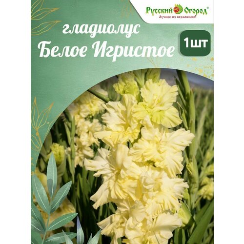 ������ ������ ��������� ����� �������� ����