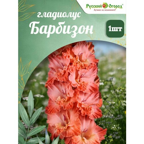 ������ ������ ��������� �������� ����