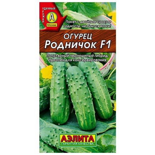 ������ ������ ������. ������ 