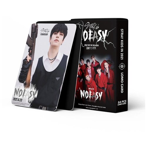 ������ ������ �������� Stray kids 