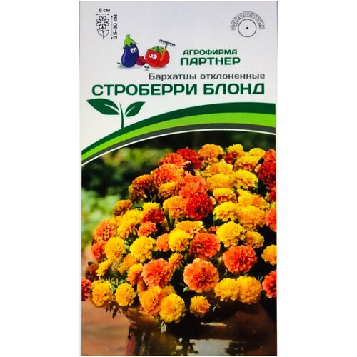 ������ ������ ������ ��������� ����������� 