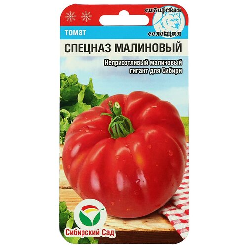 ������ ������ ������ ��������� ��� ����� ������� ��������� 20 ��. ����