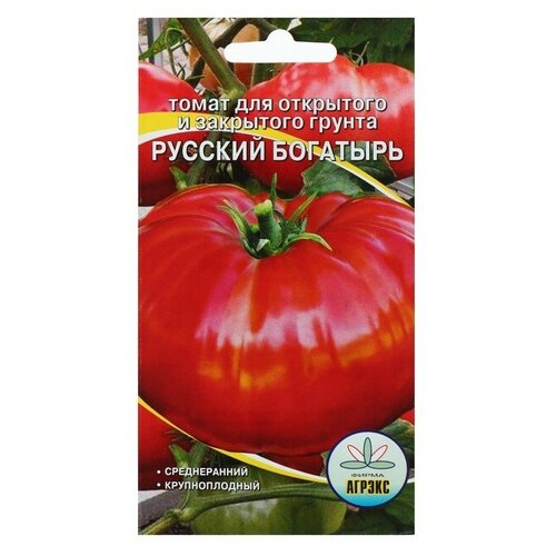 ������ ������ ������ ����� 