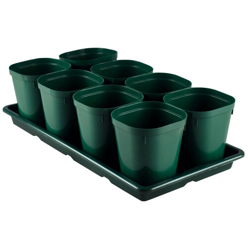 ������ ������ ������������ ����� ��� ������� �8237, 0.8 �, ���� ����