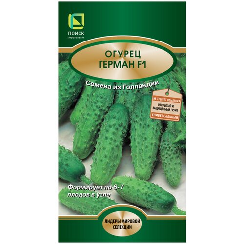 ������ ������ ������ ����� ������ ������ F1 12 ��.���������� ����