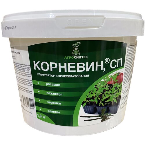 ������ ������ ��������� �������� ��������� ����������������, 1 �� ����