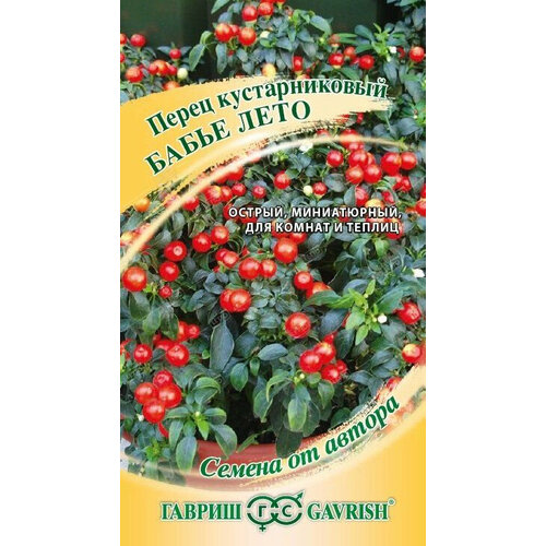 ������ ������ ������ ����� ����� ���� �������. ������ ��� ����������� 5 �� ����