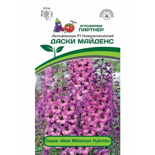 ������ ������ ������� ���������� 