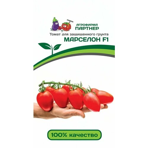 ������ ������ ������ ������ ��������� ������� 