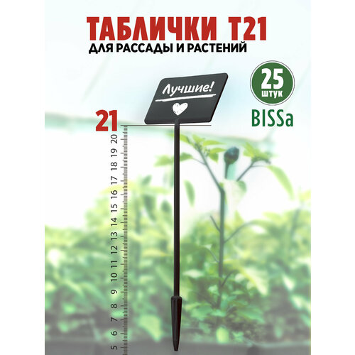 ������ ������ ������� �������� ��� ������� � ��������, Bissa �21, ������, 25 �� ����